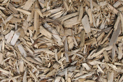 biomass boilers Tregeare