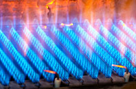 Tregeare gas fired boilers